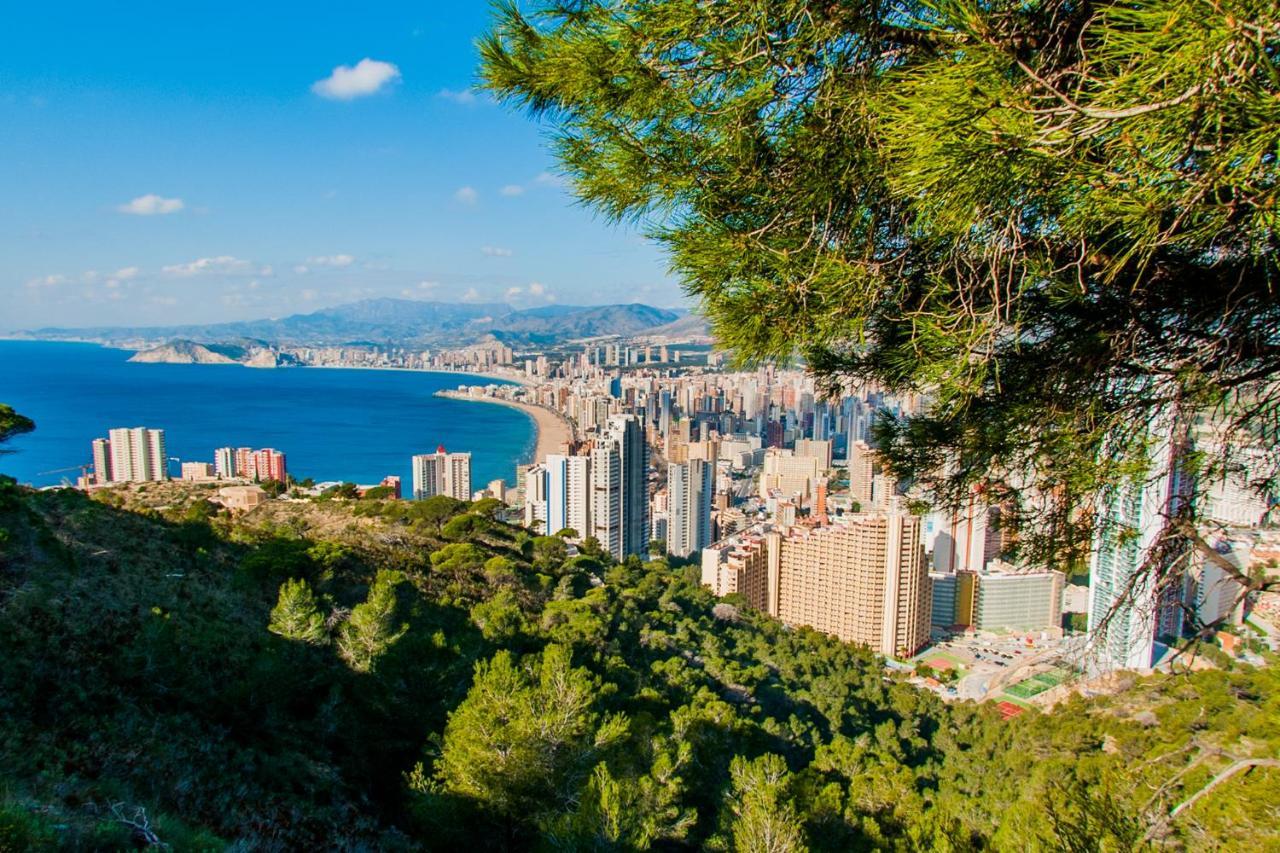 Apartamentos Moby Dick 16-G By Wt Benidorm Dış mekan fotoğraf